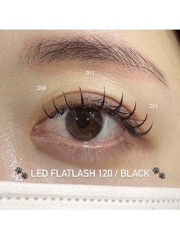 ロゼ ヴィレッタ/