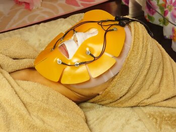 サロンローズ(Salon Rose)/セルサー深部に有効成分を届ける