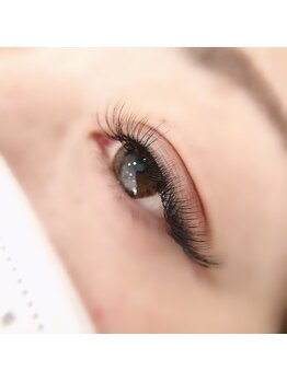 ロイス(ROIS)/◇ボリュームラッシュ120束