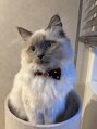 ココ 黒川店(COCO) 猫を飼っていて毎日癒してくれてます♪