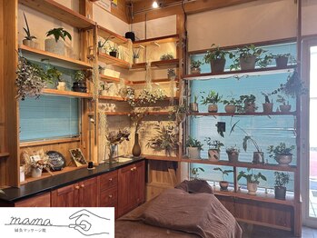 鍼灸マッサージ院 ママ(mama)/〈　店内貸切でリラックス　〉