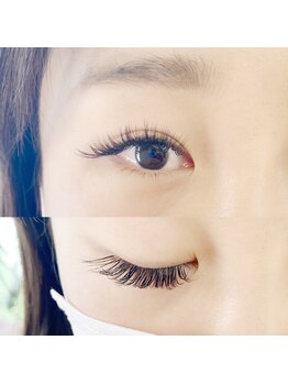 フランセス(Frances)/ボリュームラッシュ