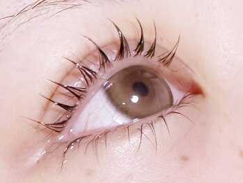 エム(M)の写真/【モチの良さ◎】初めての方も大歓迎◎流行りの束感まつ毛パーマ・韓ドル風まつ毛・うる艶まつ毛が叶う♪
