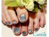 【FOOTネイル／オフなし】マグネットネイル &nbsp;ワンカラー &nbsp;&nbsp;7800円→6300円