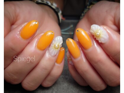 シュピーゲルの写真