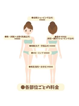 グレイス(grace)/脱毛料金イラスト
