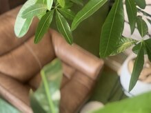 ヒトヤスミ(HITOYASUMI)の雰囲気（自然を感じる個室空間です☆フォトギャラリーをご覧ください♪）