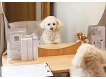 丁寧なカウンセリングを心掛けています