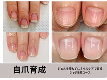 シュガーズネイル(sugar's nail)