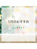 5月おすすめ↑↑ここまで↑↑