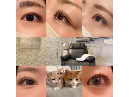 パザパ(Pas a pas)の写真