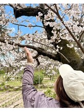 ボディアップ(Body up)&nbsp;阿部 恵子