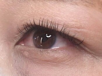 ウルカ アイラッシュ(uruka EYELASH)/フラットラッシュ 140本