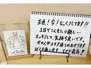 ステラ(stella)/