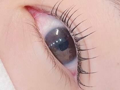 ココシア(cococia)の写真