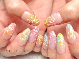 夏 ハイビスカス