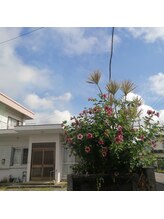 セイ(Sei)/外の景色