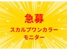 【急募】5/22まで！3枠限定☆jrスカルプワンカラーモニター