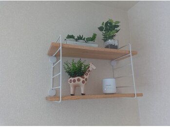 パンパー(PAMPER)/店内　装飾