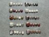 【※期間限定！ご新規様】【フット】定額デザイン¥11550→¥9900
