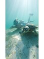 ジェミエス(Gemies)&nbsp;旅行がスキです！宮古島で亀と泳いだとき★