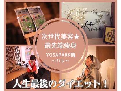 ヨサパーク 晴(YOSA PARK)の写真