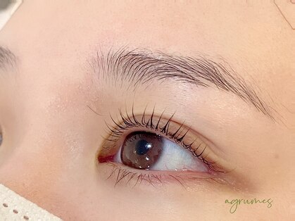 アグリューム(agrumes)の写真