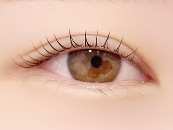 ネコル 君津店(nekoRu)/まつげパーマ