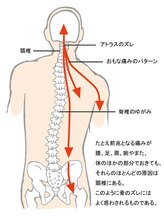 中央カイロプラクティック院 枚方/首のズレが全身に影響を・・・