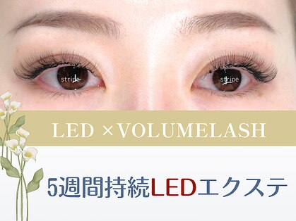 ストライプ 志木店の写真