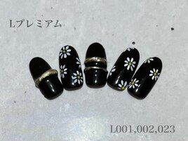 ハンド定額プレミアムコース