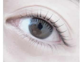 エスペランサ(Esperanza)/立ち上げカール