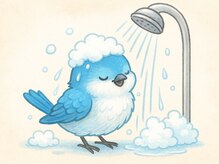 小鳥遊 タカナシ/