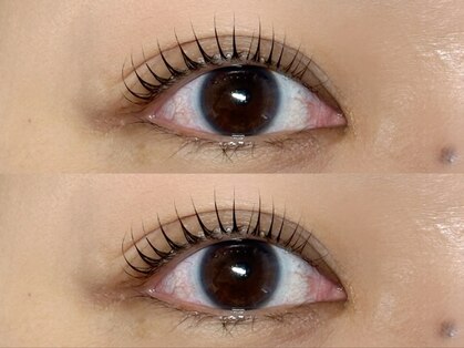 モン(mon)の写真