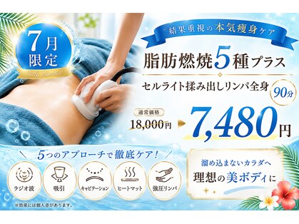 ヴィクシア(VIXIA)の写真