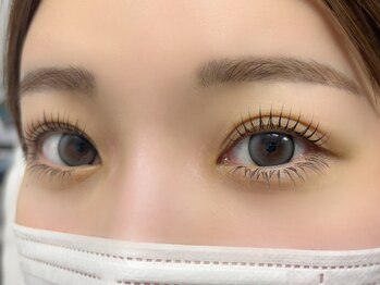 エイミーラッシュ 千葉(Aimee Lash)/まつげパーマ+下マツエク