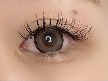 ラヴィアスプラス(LAVIAS+)/マツエク/フラットラッシュ