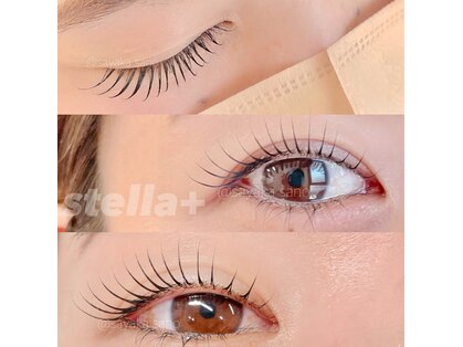 ステラ プラス(stella+)の写真