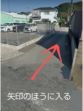 智龍(チリョウ)/