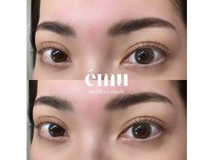 エミュ(emu)の写真