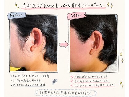 カロス(Calos)の写真
