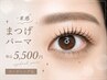 【再来】束感まつげパーマ（コーティング仕上げ付）￥5,500