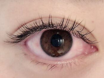 カラン 焼津店(CALIN)/フラットラッシュ140本