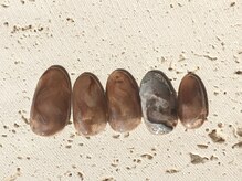 ネイルドッグ(NAIL DOG)/ブラウン大理石風♪