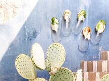 ジル(JILL)/１０月　定額シンプル