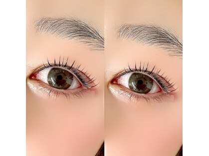 ヘラ(HERA)の写真