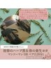 【1日1組限定】初春のハーブ蒸(60分)&春の養生ヨガ(60分)¥8300