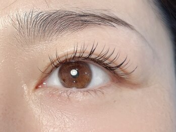 ネリネ(Nerine)/フラットマットラッシュ