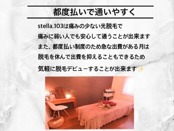 ステライチマルサン(stella.103)/都度払いで安心