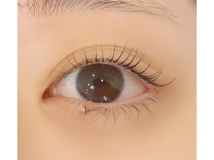 ベルス(Bellus)の写真
